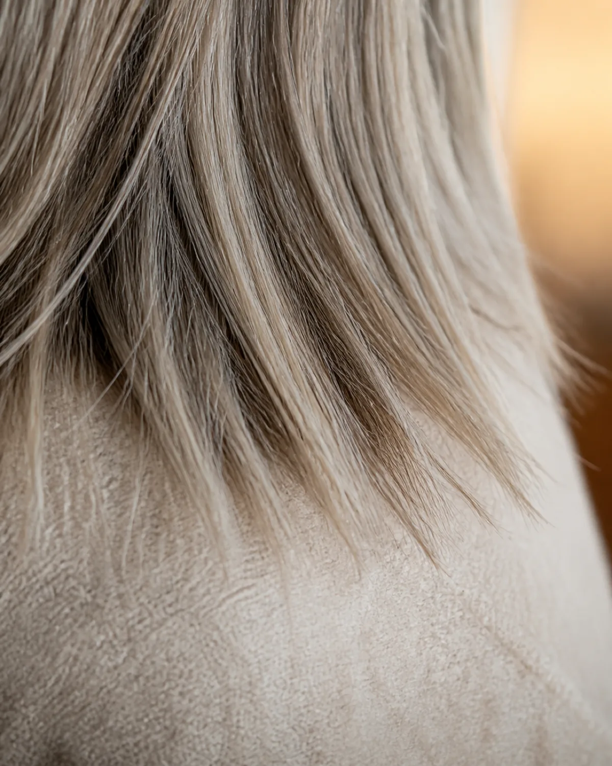 Extreme close-up macro of fine cool-ash hair ends showing individual strands tapering to feathery razored points against a soft oatmeal knit sweater in warm lamp light