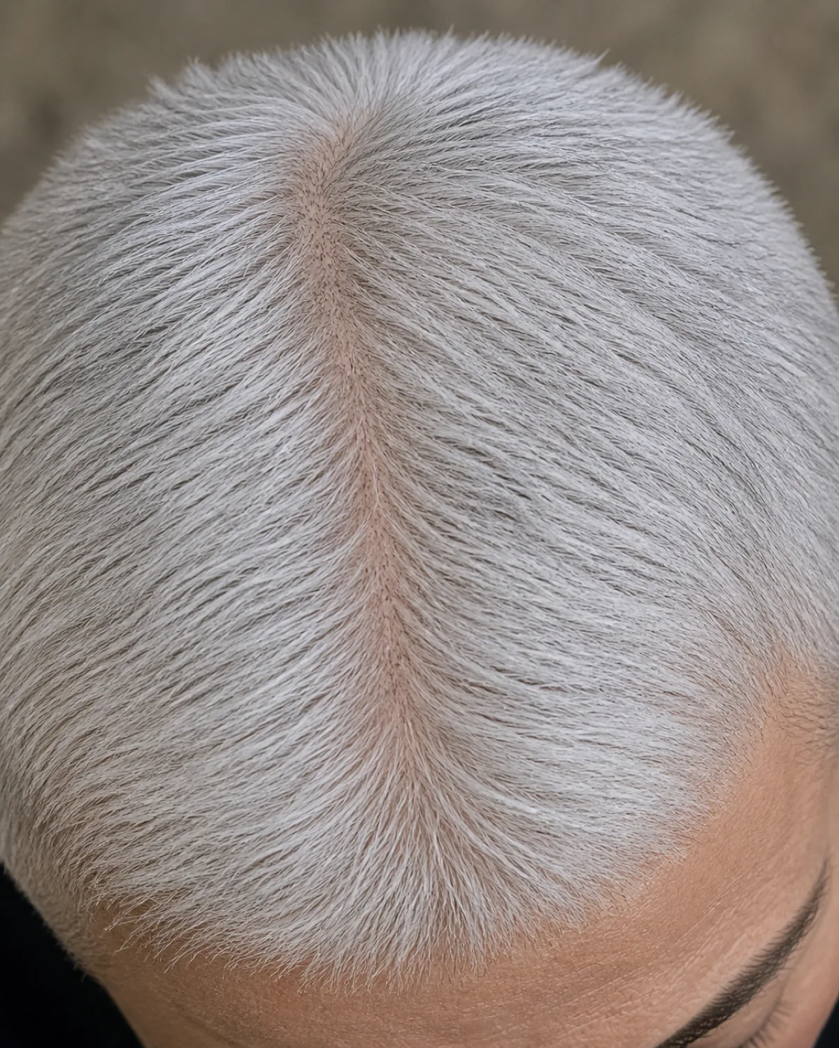 Top-down macro view of a woman's close-cropped silver buzz cut, nearly uniform one-inch length, individual silver-white strands catching overhead light, single natural part line visible